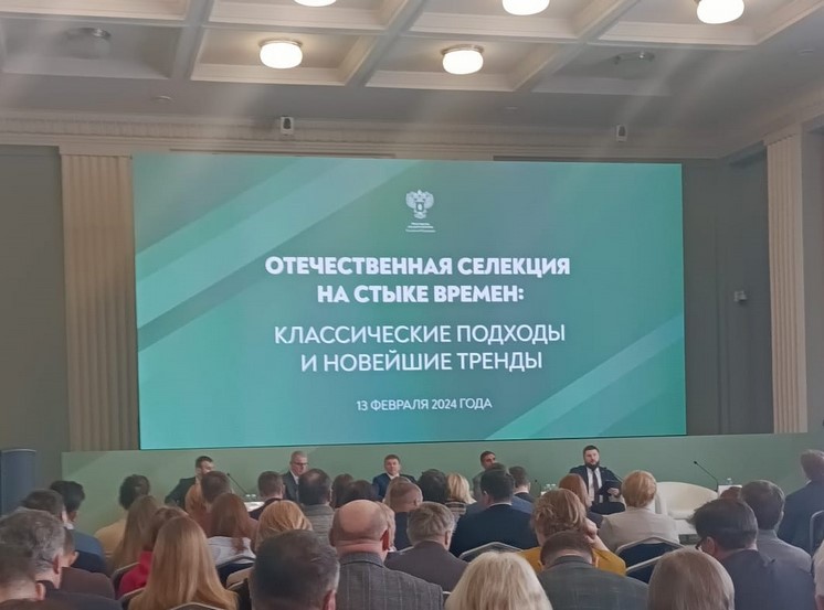 Рисунок